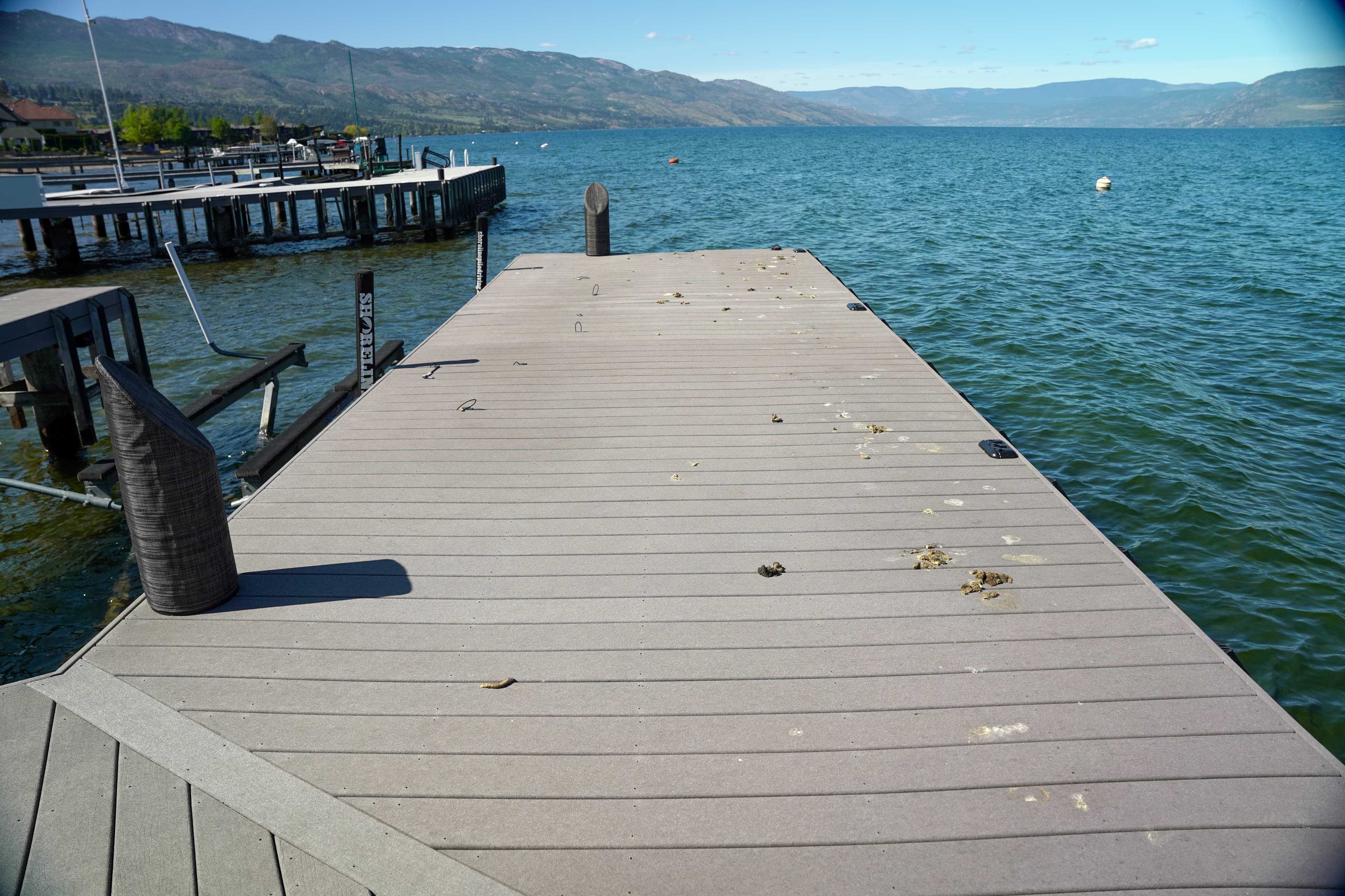 Dock restoration - before
