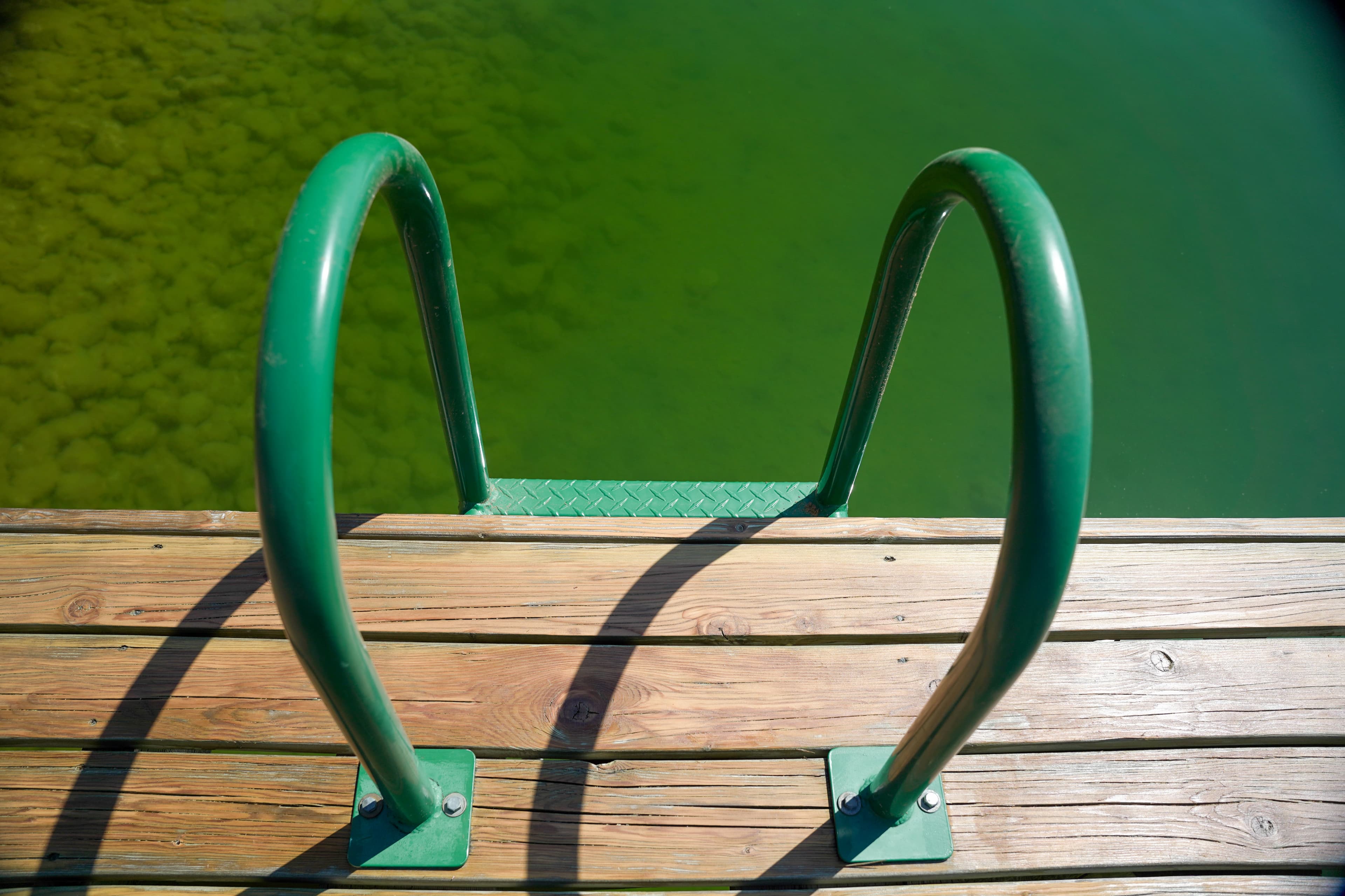 Dock Work